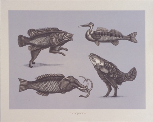 The Association for Creative Zoology: Trichopiscedae by Beauvais Lyons